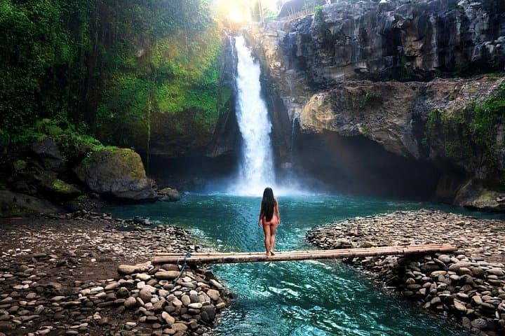 Ubud to Kintamani Volcano Day Tour — Waterfalls, Rice Terraces & Coffee Tasting photo 3