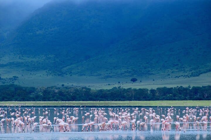 15-Day Tanzania & Zanzibar Private Tour — Serengeti Safari, Kilimanjaro Foothills & Zanzibar Beaches photo 2