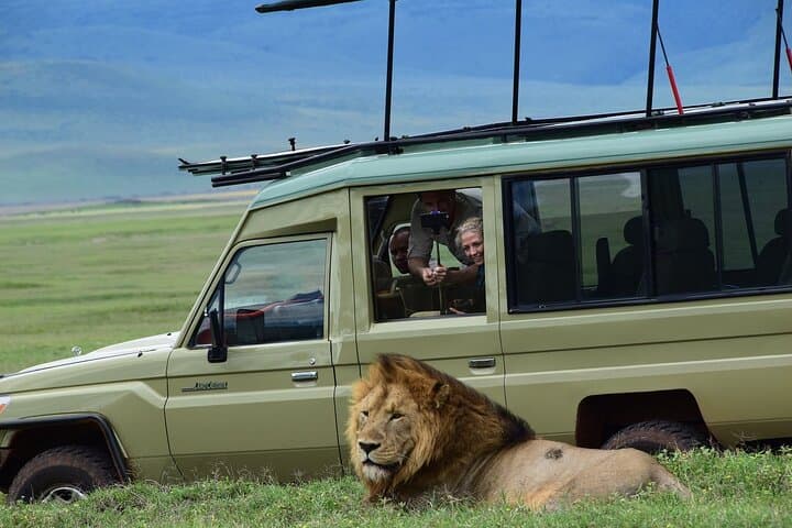 15-Day Tanzania & Zanzibar Private Tour — Serengeti Safari, Kilimanjaro Foothills & Zanzibar Beaches photo 4