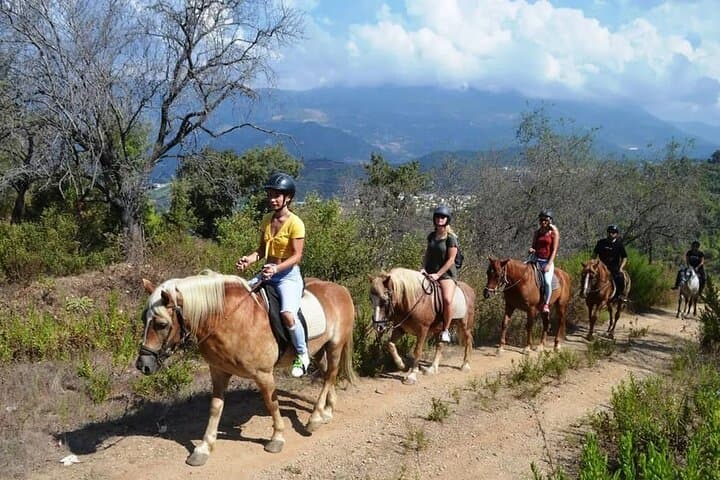 Alanya Horse Riding Experience: Coastal Trails & Taurus Mountain Views photo 2