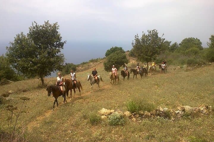 Alanya Horse Riding Experience: Coastal Trails & Taurus Mountain Views photo 3
