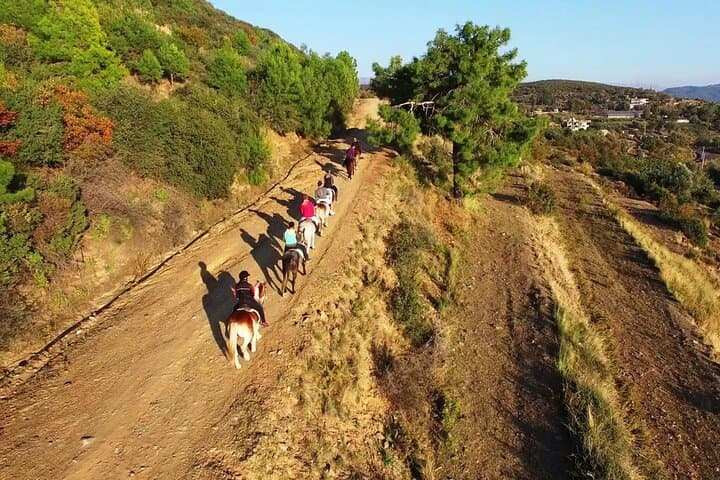 Alanya Horse Riding Experience: Coastal Trails & Taurus Mountain Views photo 5