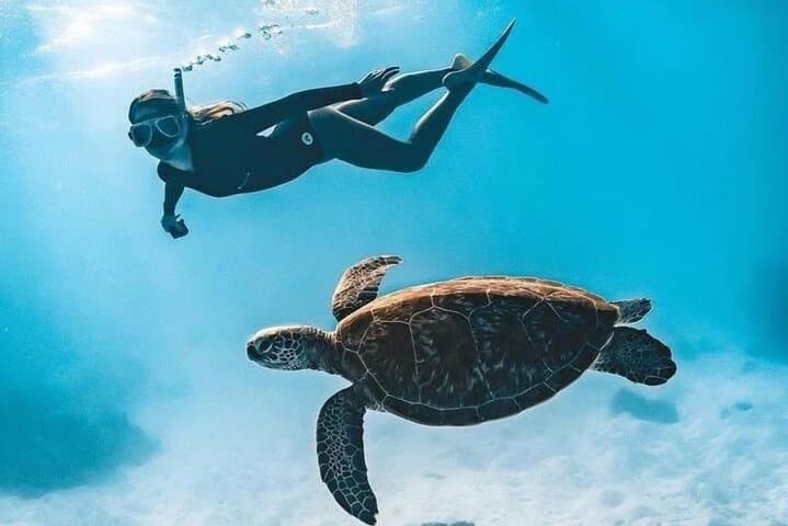 Snorkel Blue Lagoon & Tanjung Jepun: Padangbai Day Trip from Ubud and Denpasar photo 3