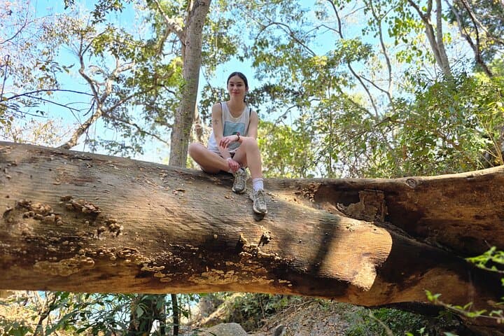 Coastal and Jungle Hike: 6 Beaches from Boca de Tomatlán to Las Ánimas photo 4