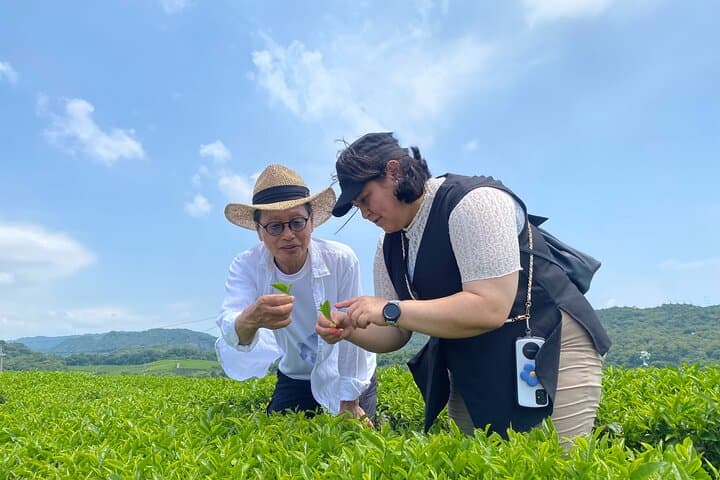 Fujikawachi Tea Fields Walking Tour: Learn Yamaguchi Tea with Local Farmers photo 4