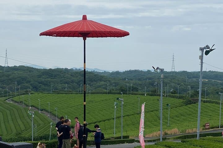 Fujikawachi Tea Fields Walking Tour: Learn Yamaguchi Tea with Local Farmers photo 6
