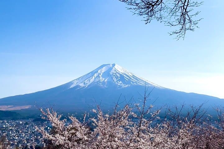 Mount Fuji Adventure Tour from Tokyo: Lakes, Caves & Forest Trails photo 4