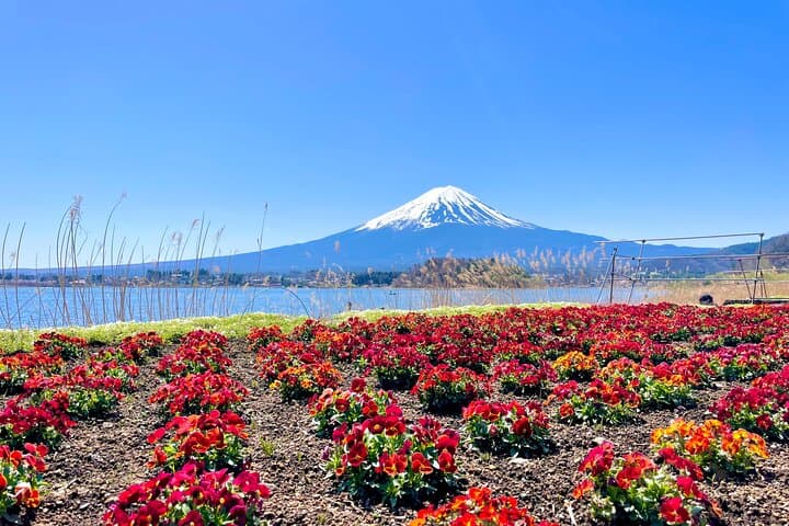 Mount Fuji Adventure Tour from Tokyo: Lakes, Caves & Forest Trails photo 5