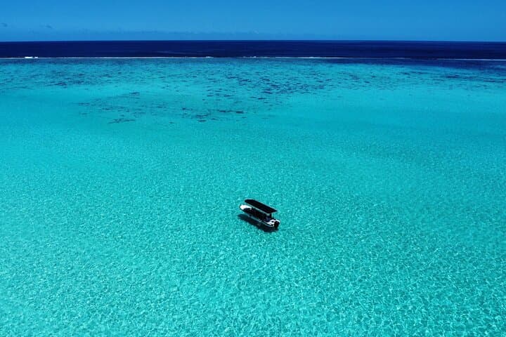 Private Half-Day Lagoon Adventure & Snorkel Tour in Mo'orea photo 2