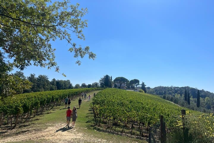 Hilltop Farm-to-Table Experience in Tuscany: Organic Estate Cooking & Truffle Forage photo 2