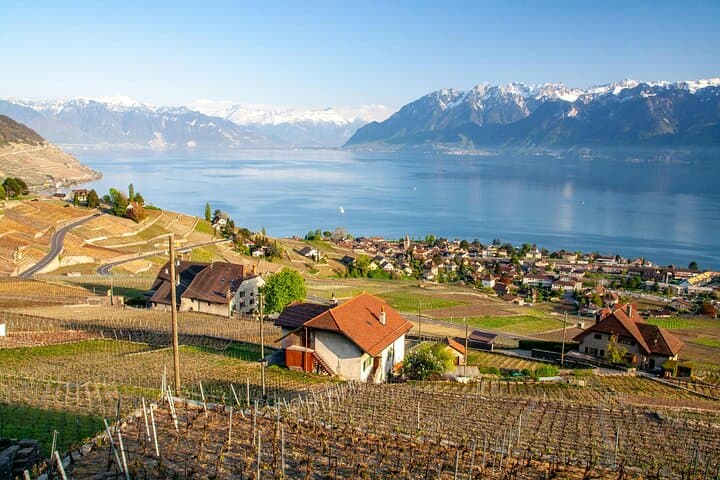 Lavaux Wine and Vineyard Experience with Boat Cruise from Geneva photo 4