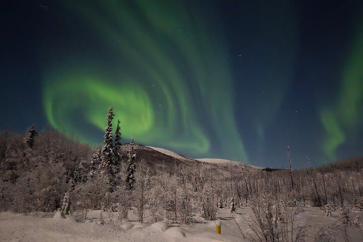 Chena Hot Springs Night: Hot Pools, Ice Museum & Northern Lights photo 2
