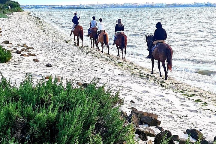 Horseback Ride on Rosario Beach with Portuguese Gastronomic Tasting photo 4