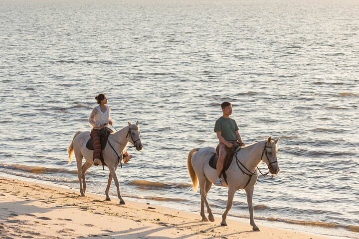 Private Sunset Horseback Ride on Costa da Caparica Beach (Por do Sol) photo 3