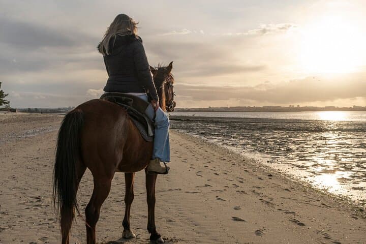 Private Horseback Riding on the Beach near Setúbal: Pine Forests, Salt Marshes and Atlantic Gallops photo 5