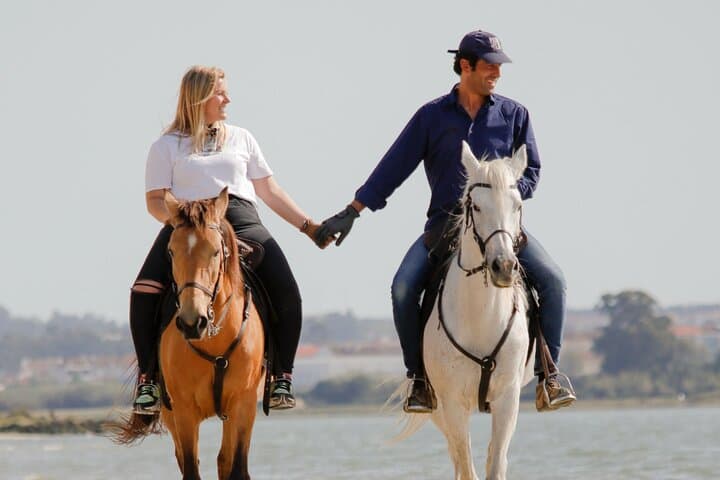 Private Horseback Riding on the Beach near Setúbal: Pine Forests, Salt Marshes and Atlantic Gallops photo 4