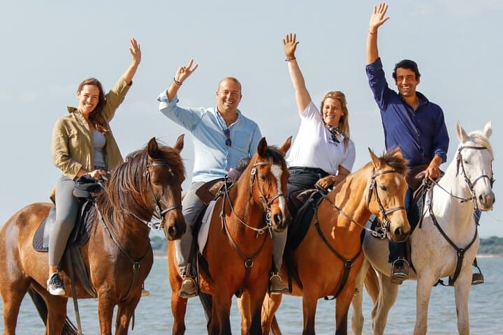 Horseback Riding on Gaio Rosario Beach: Setúbal Coastal Trail on Calm Horses