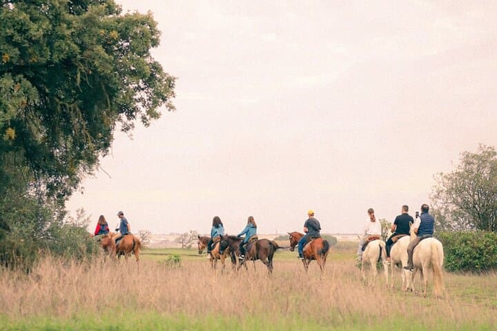 Horseback Riding on Gaio Rosario Beach: Setúbal Coastal Trail on Calm Horses photo 4