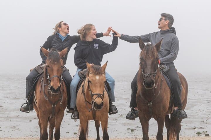 Horseback Riding on Gaio Rosario Beach: Setúbal Coastal Trail on Calm Horses photo 2