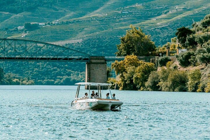 Douro River Pinhão Boat, Lunch & Wine Tour — Half-Day Quinta Tasting photo 2