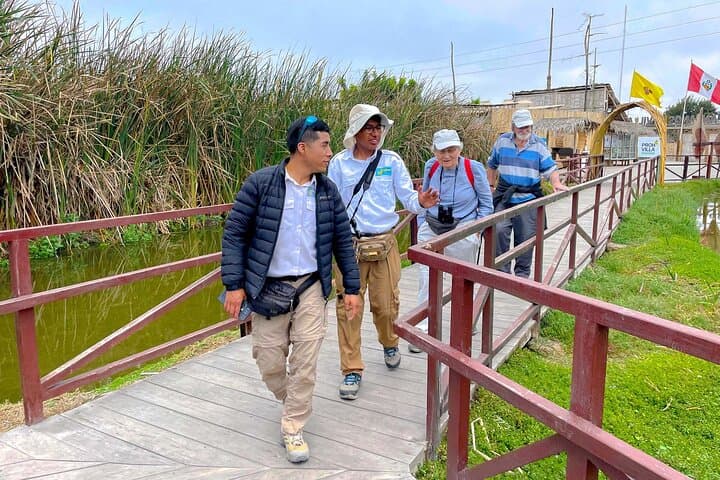 Pantanos de Villa Birdwatching Tour — Last Urban Wildlife Refuge in Lima photo 6