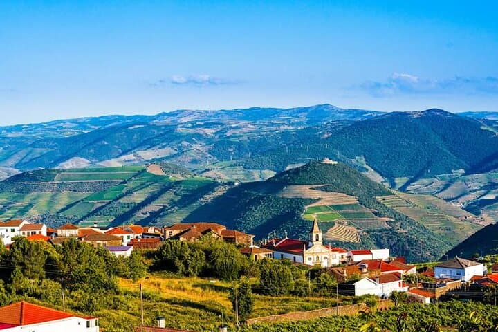 Douro River Pinhão Boat, Lunch & Wine Tour — Half-Day Quinta Tasting photo 6