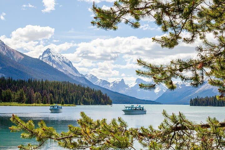 Maligne Valley & Medicine Lake Day Tour — Jasper National Park Guided Walks photo 2