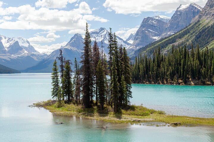 Maligne Valley & Medicine Lake Day Tour — Jasper National Park Guided Walks photo 5