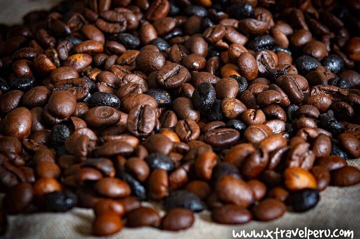 Cusco High-Jungle Coffee, Tea & Chocolate: 2-Day Flavor Journey photo 4