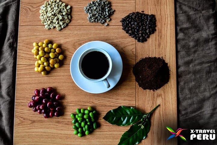 Cusco High-Jungle Coffee, Tea & Chocolate: 2-Day Flavor Journey photo 6