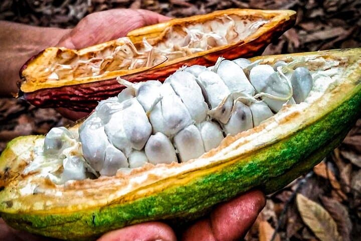 Cusco High-Jungle Coffee, Tea & Chocolate: 2-Day Flavor Journey photo 2