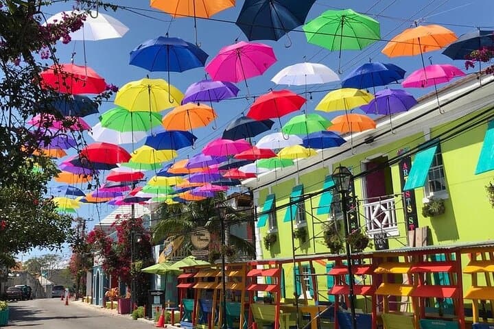 One-Hour Island Stroll Through Historic Nassau: Rum, Murals & Local Flavors photo 5