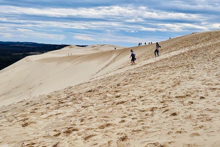 Guardians of the Dune — Interactive Digital Game at Dune du Pilat photo 6