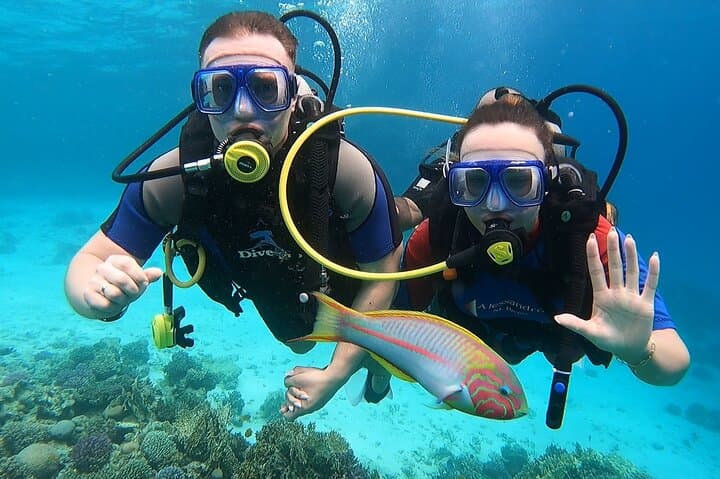 Full-Day Scuba Diving Boat Trip in Hurghada — Beginner-Friendly Red Sea Dives with Lunch photo 2