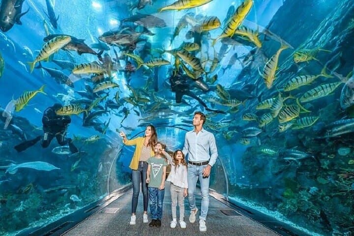 Inside Dubai Aquarium & Underwater Zoo — Downtown Dubai's Giant Marine Experience