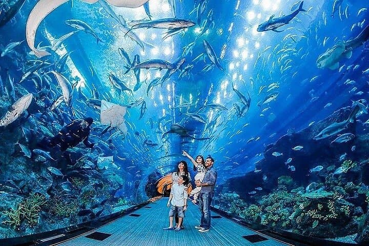 Inside Dubai Aquarium & Underwater Zoo — Downtown Dubai's Giant Marine Experience photo 2