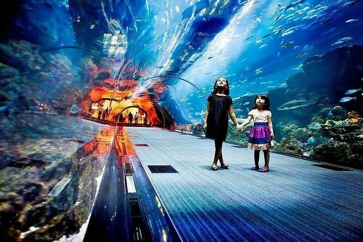 Inside Dubai Aquarium & Underwater Zoo — Downtown Dubai's Giant Marine Experience photo 4