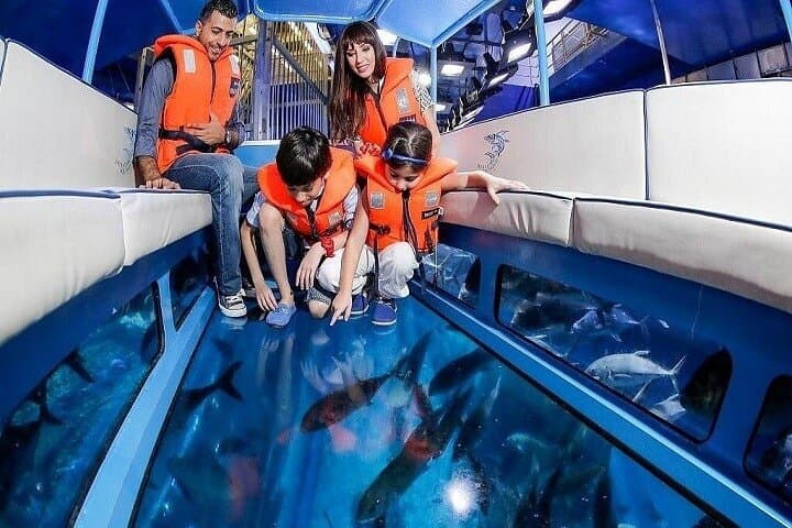 Inside Dubai Aquarium & Underwater Zoo — Downtown Dubai's Giant Marine Experience photo 6