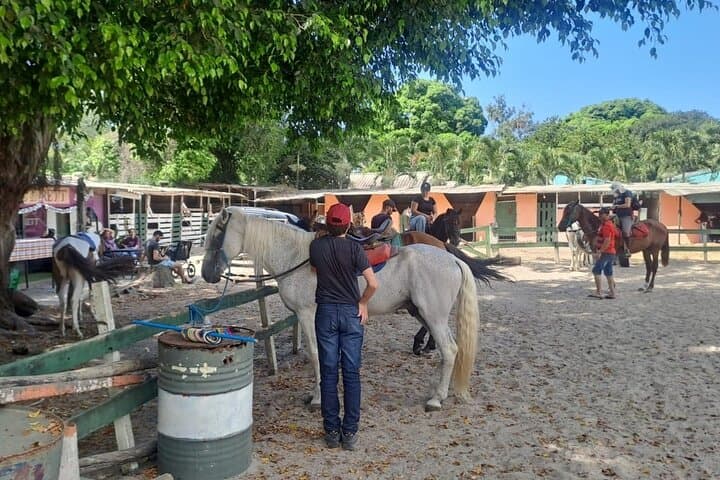 Quilombo Visit and Horseback Ride to Waterfall and Sunset Beach near Rio de Janeiro