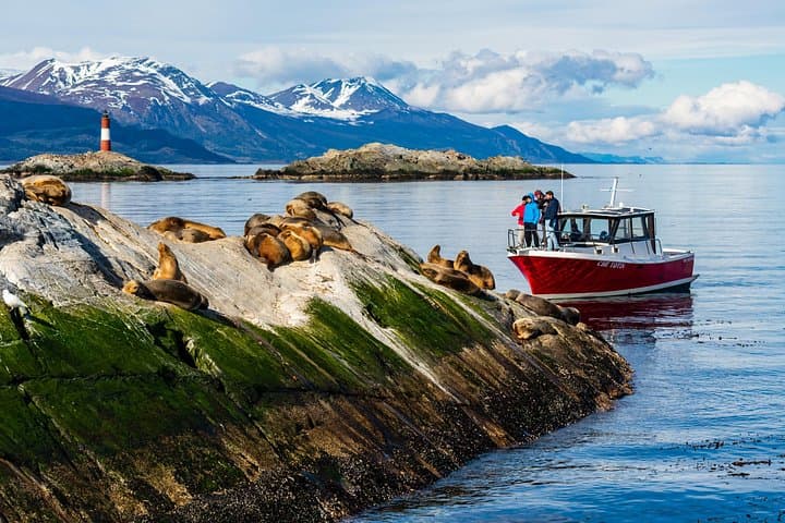 Sailing the Beagle Channel: Small-Group Boat Tour and Coastal Hike from Ushuaia photo 1