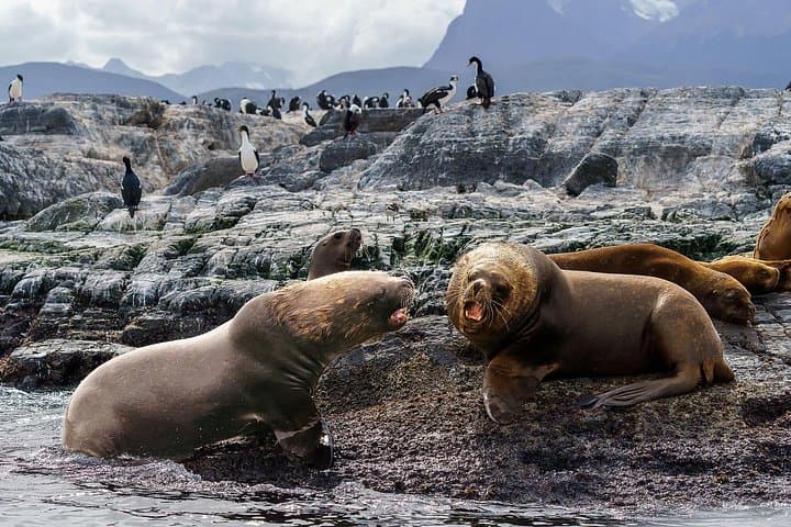 Sailing the Beagle Channel: Small-Group Boat Tour and Coastal Hike from Ushuaia photo 2