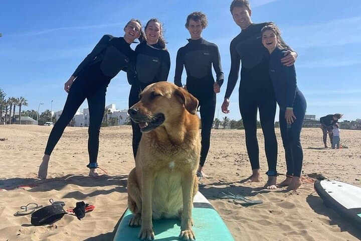 Essaouira Group Surf Lessons: Learn to Surf on Morocco’s Atlantic Breaks photo 2