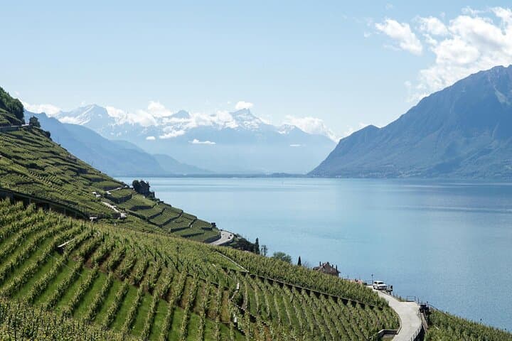 Lavaux Wine and Vineyard Experience with Boat Cruise from Geneva photo 2