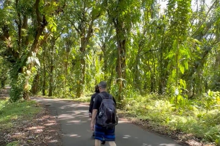 Secret Tide Pool Hike Near Hilo — Private Jungle & Coast Experience photo 5