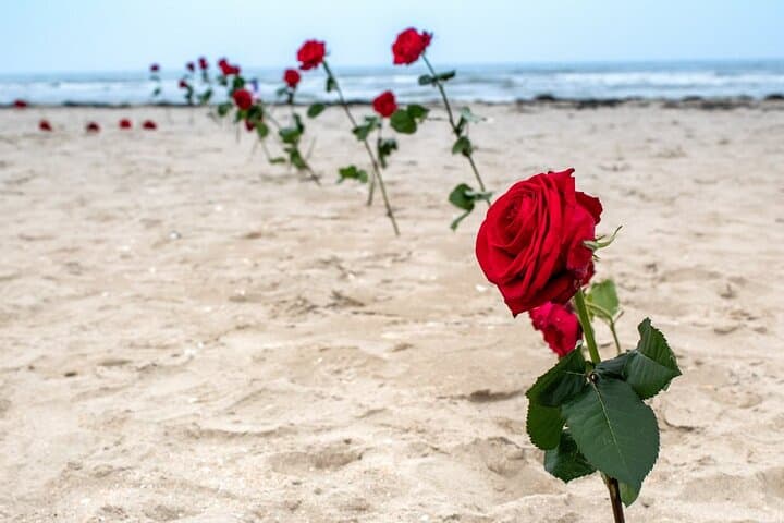 Explore Normandy's D-Day Legacy on a Private Guided Tour photo 5