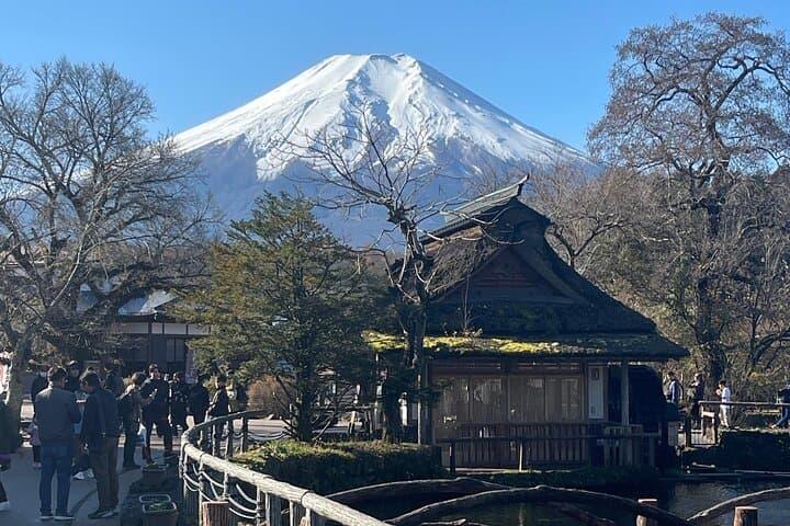 Mount Fuji Full-Day Private Tour from Tokyo — Kawaguchiko, 5th Station & Hakone photo 3