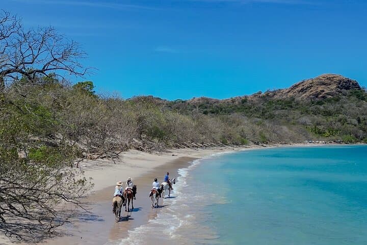 Playa Flamingo Horseback Riding: 90-Minute Beach & Trail Guided Tour photo 3