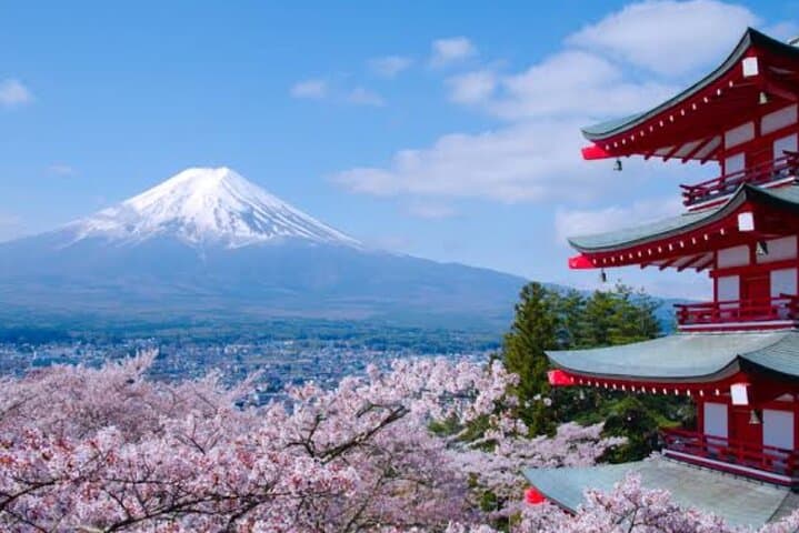 Mount Fuji Full-Day Private Tour: Kawaguchiko, Chureito Pagoda & Oshino Hakkai photo 2