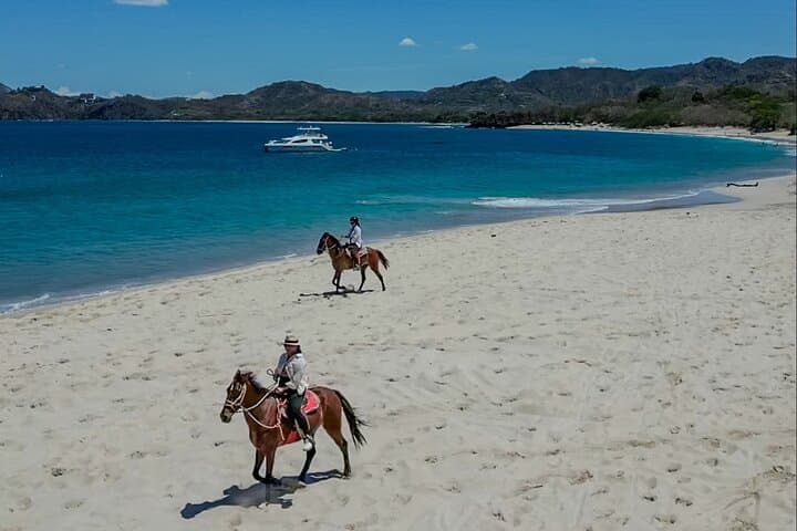 Playa Flamingo Horseback Riding: 90-Minute Beach & Trail Guided Tour photo 4