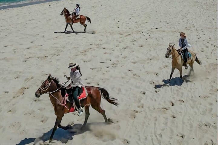 Playa Flamingo Horseback Riding: 90-Minute Beach & Trail Guided Tour photo 5